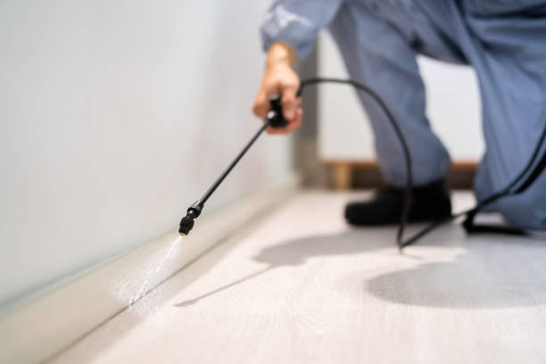 Licensed Wasp Removal service in Madisonville, LA - Show Me Pest Control