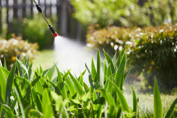 24/7 Emergency Wasp Removal experts in Madisonville, LA