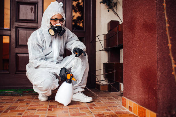 Reliable Wasp Removal contractor in Madisonville, LA by Show Me Pest Control